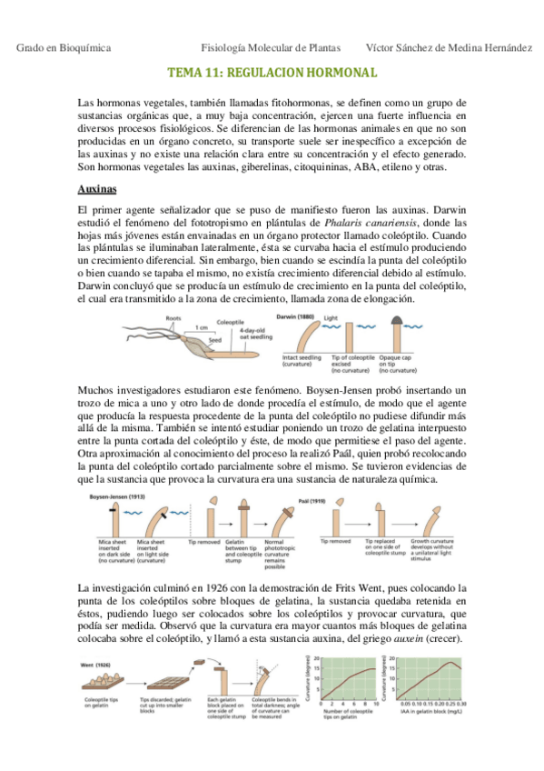 Miniatura del documento Tema 11. Regulación hormonal VSM.pdf