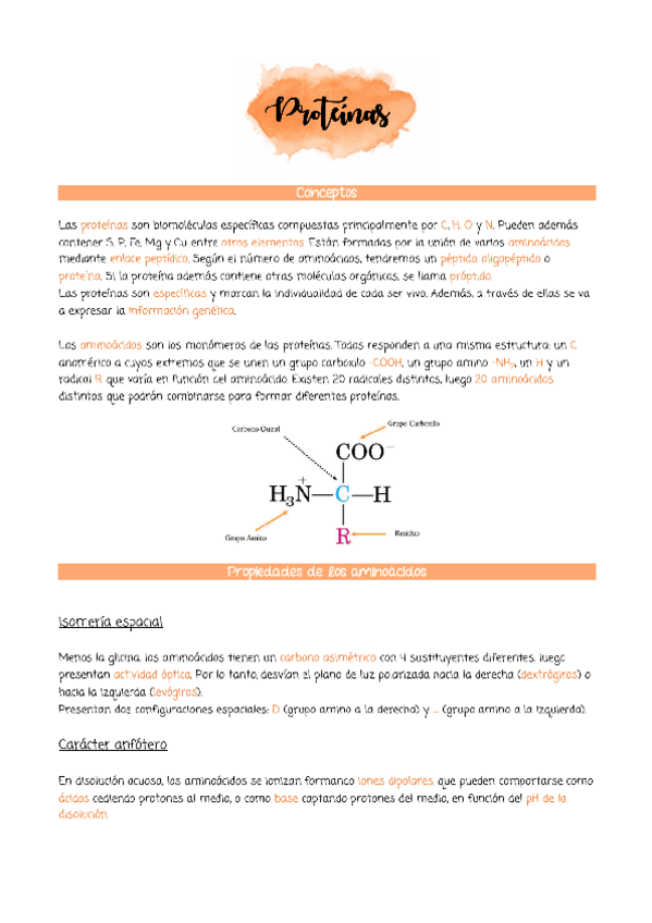Miniatura del documento Proteinas-y-enzimas.pdf
