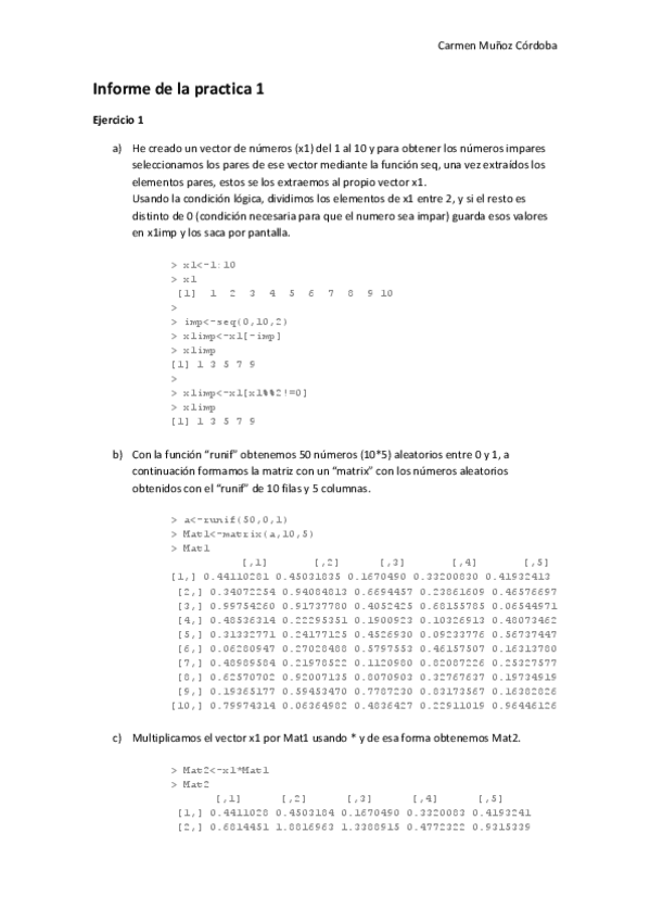 Miniatura del documento Informe-de-la-practica-1.pdf
