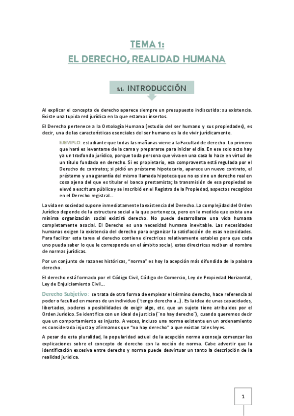 Miniatura del documento TEMA-1-IBD.pdf