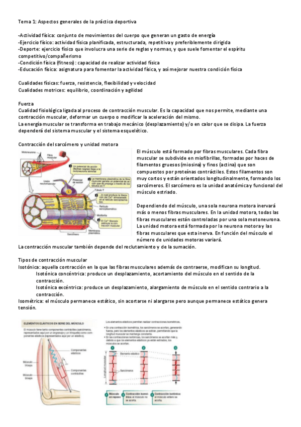 Miniatura del documento Alimentacion-y-deporte.pdf