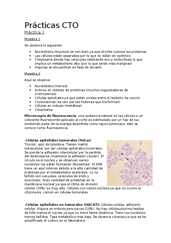 Miniatura del documento Precticas.docx