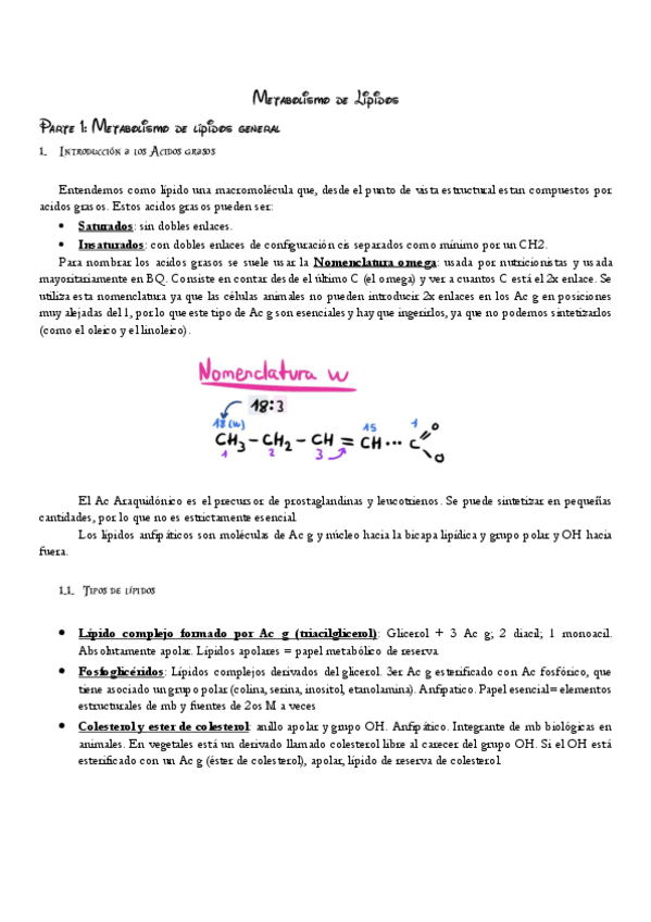 Miniatura del documento Metabolismo-de-Lipidos-1.pdf