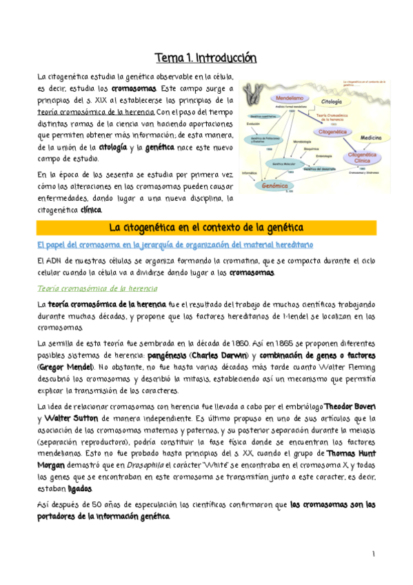 Miniatura del documento Citogenetica-20192020.pdf