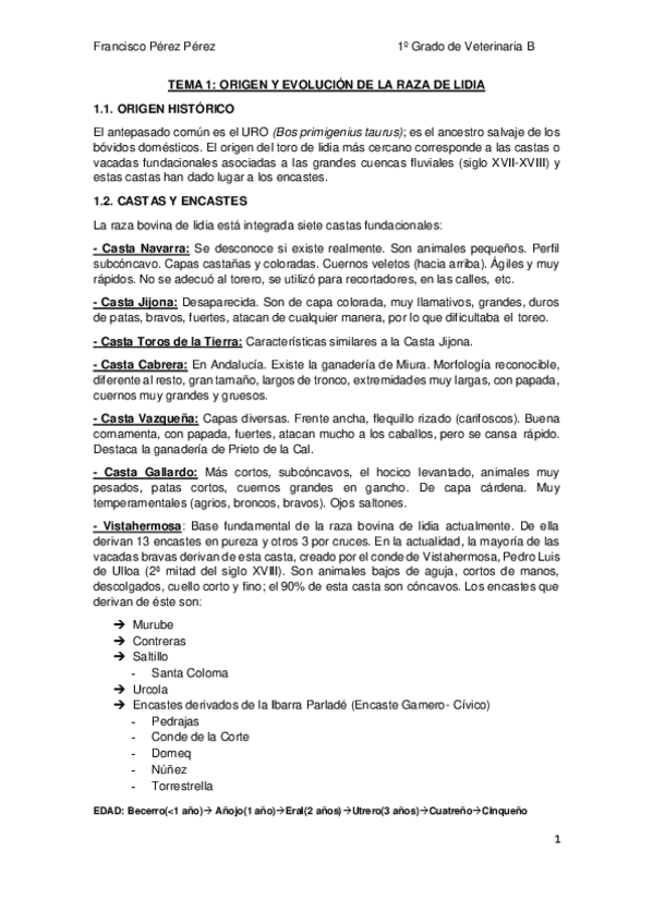 Miniatura del documento TORO-DE-LIDIA.pdf