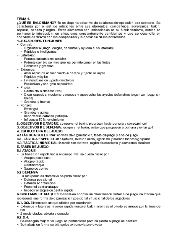 Miniatura del documento Balonmano.pdf