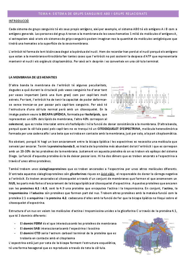 Miniatura del documento Biologia-humana-TEMA-4.pdf