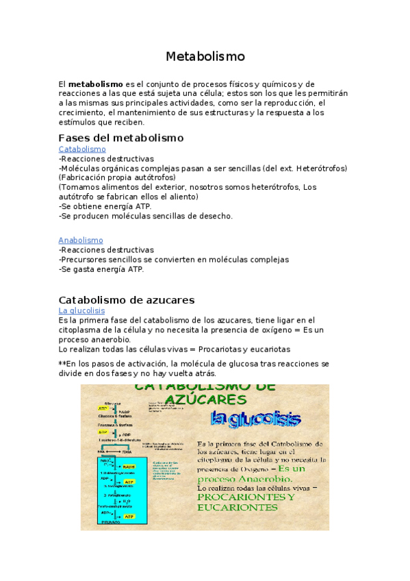 Miniatura del documento Metabolismo.doc