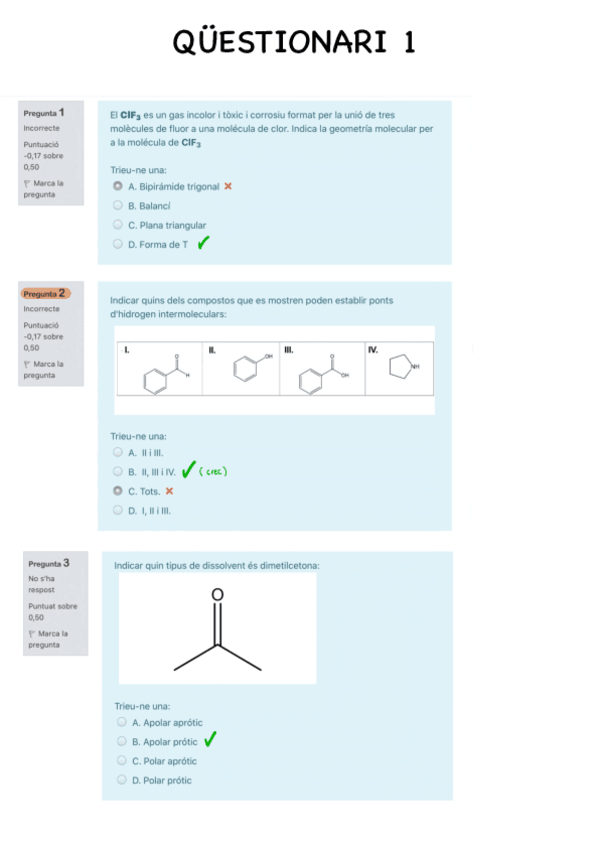 Miniatura del documento Questionari-1.pdf