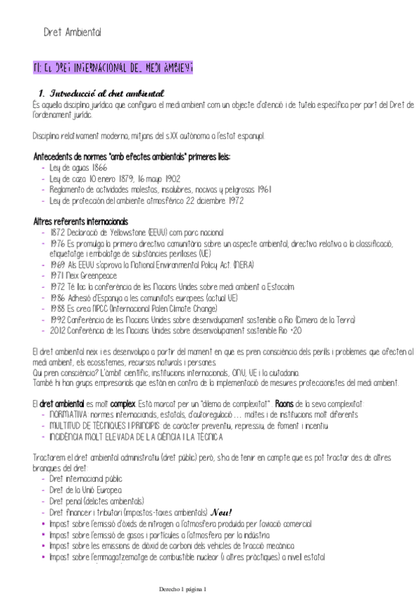 Miniatura del documento Dret-Ambiental-sencer.pdf