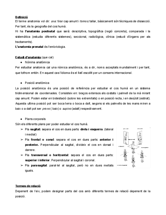 Miniatura del documento ANATOMIA-FINAL.pdf