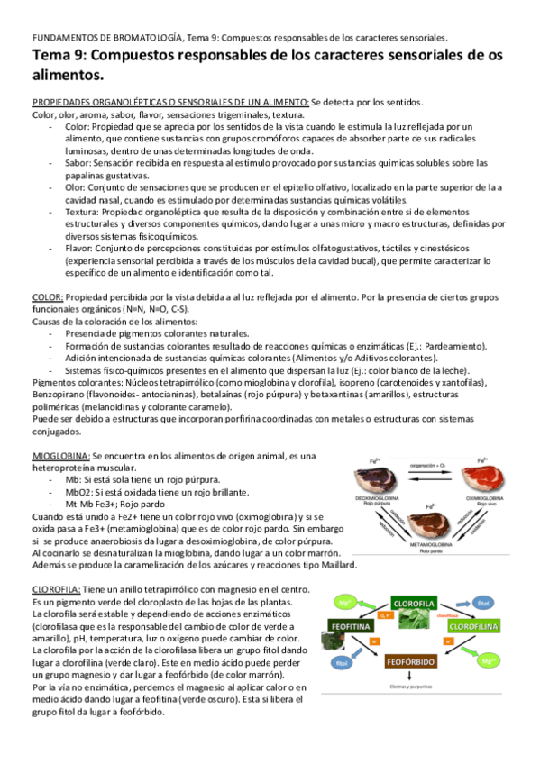 Miniatura del documento Tema-9-Compuestos-responsables-de-los-caracteres-sensoriales-de-los-alimentos-1.pdf