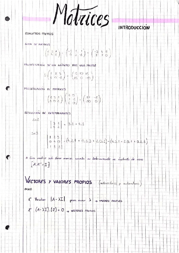Miniatura del documento segunda-parte.pdf