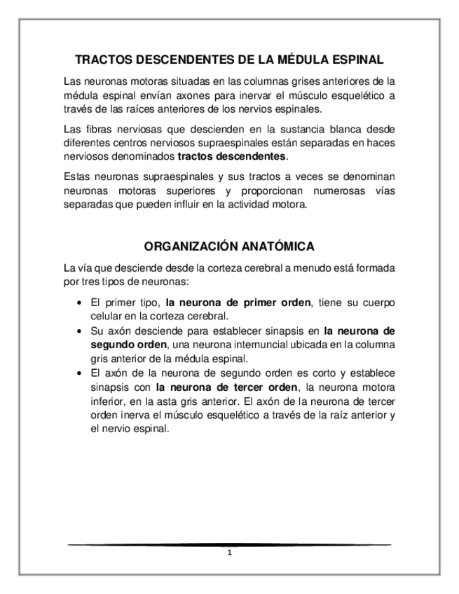 Miniatura del documento Vias-descendentes-de-la-medula-espinal.pdf