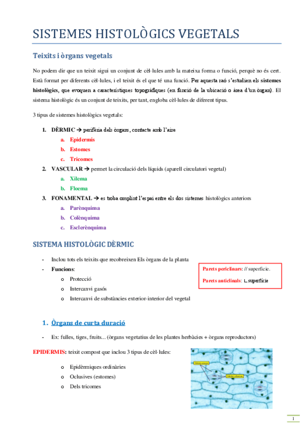 Miniatura del documento Sistemes-histologics.pdf