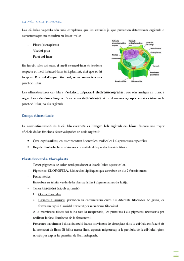 Miniatura del documento La-cellula-vegetal.pdf
