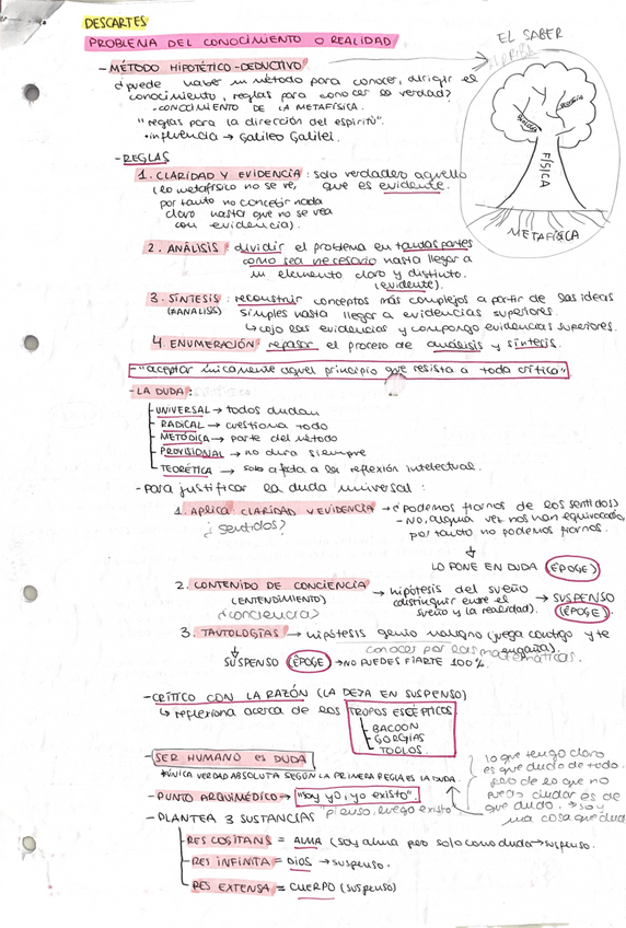 Miniatura del documento descartes-.pdf