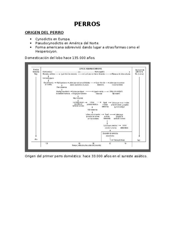 Miniatura del documento 18-PERROS.pdf