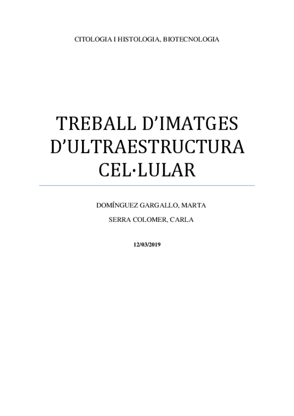 Miniatura del documento treball-corregit.pdf