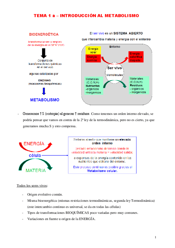Miniatura del documento TEMA-1.pdf