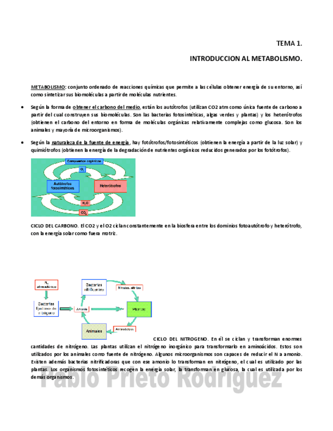 Miniatura del documento BQ 1.pdf