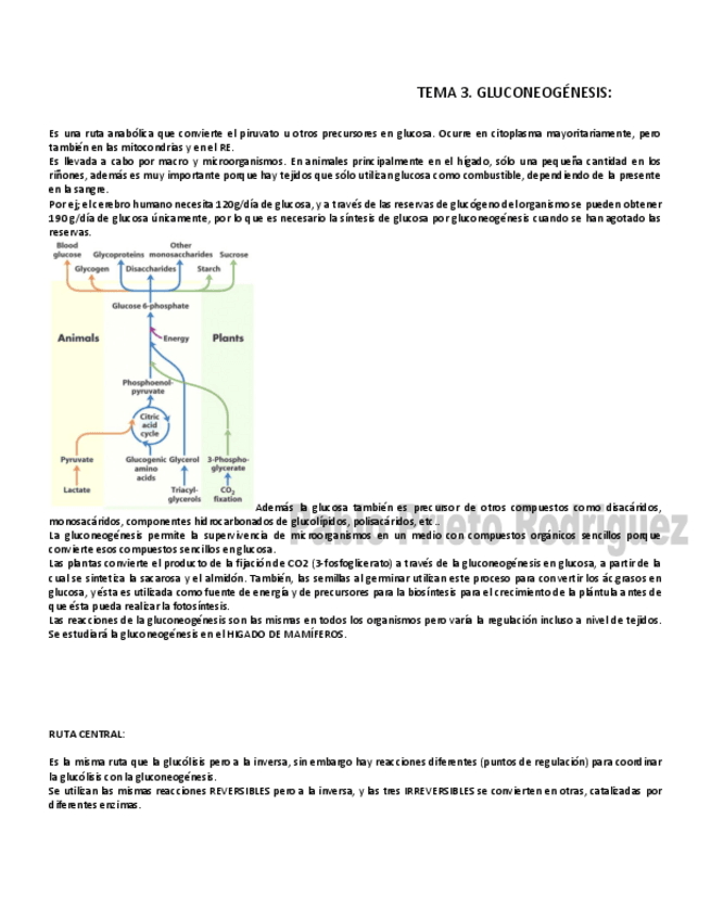 Miniatura del documento BQ 3.pdf