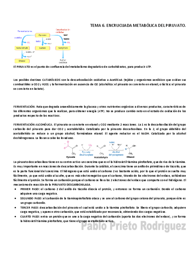 Miniatura del documento BQ 6.pdf