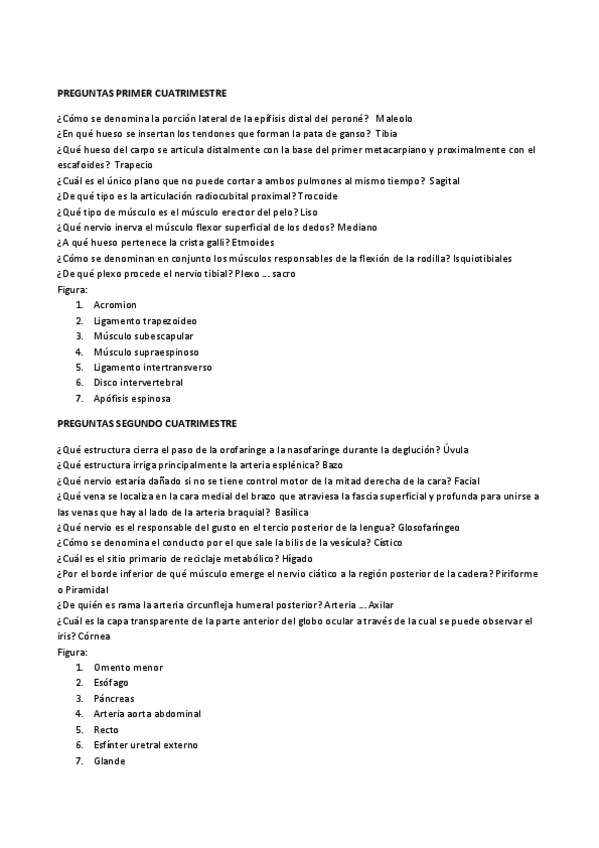 Miniatura del documento Respuestas-cortas.pdf