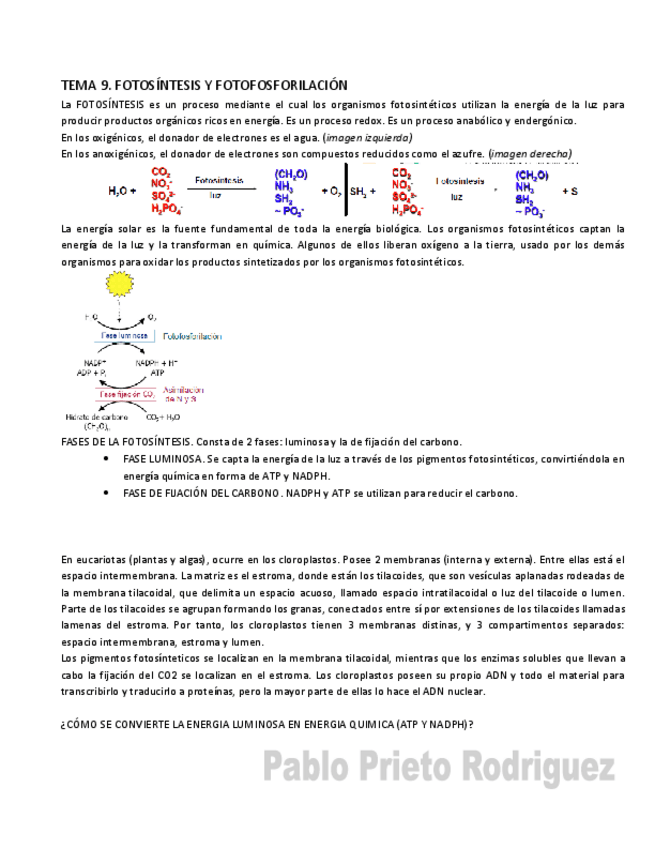 Miniatura del documento BQ 9.pdf