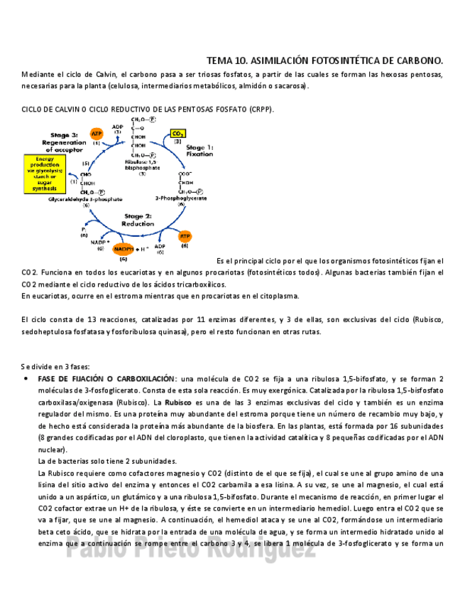 Miniatura del documento BQ 10.pdf