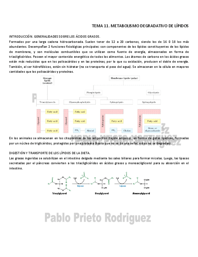 Miniatura del documento BQ 11.pdf
