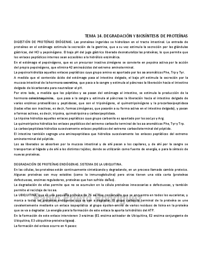 Miniatura del documento BQ 14.pdf