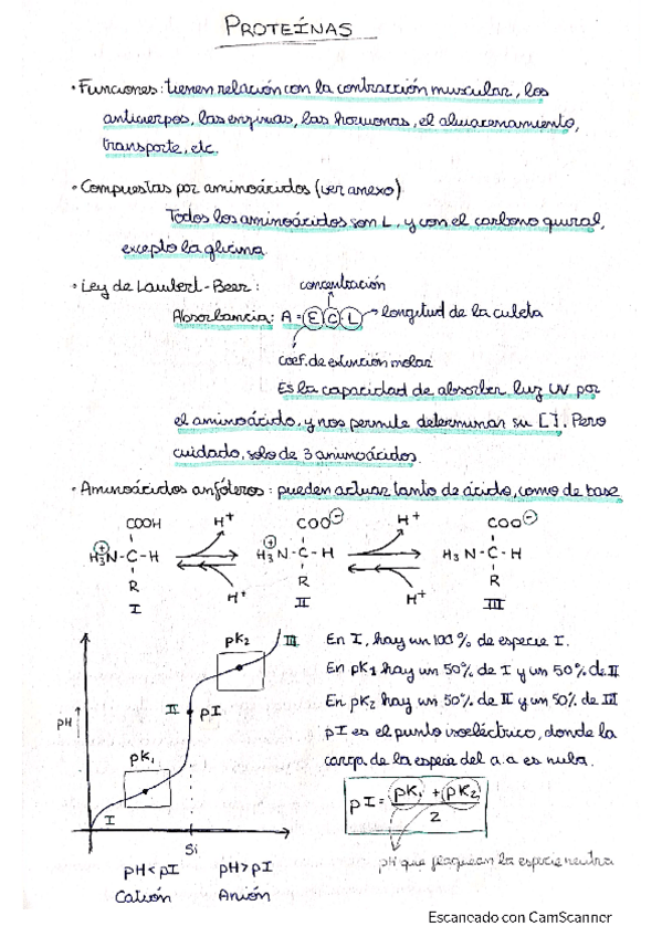 Miniatura del documento Proteinas-y-Acidos-Nucleicos.pdf