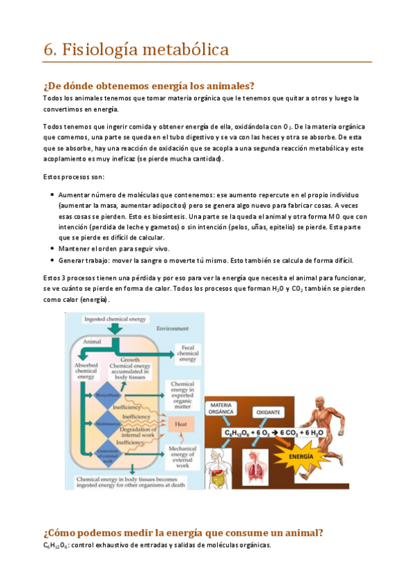 Miniatura del documento 6.pdf
