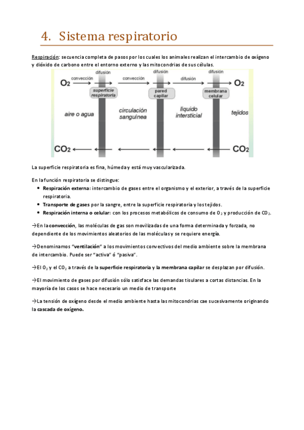 Miniatura del documento 4.pdf