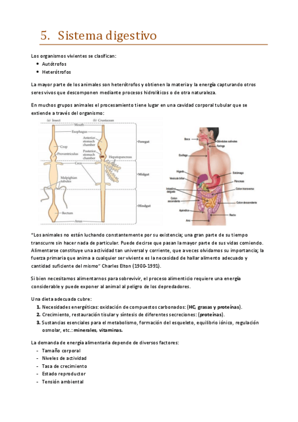 Miniatura del documento 5.pdf