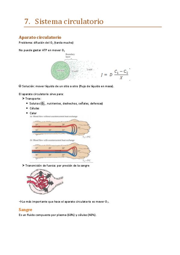 Miniatura del documento 7.pdf