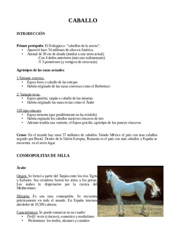 Miniatura del documento caballos.pdf