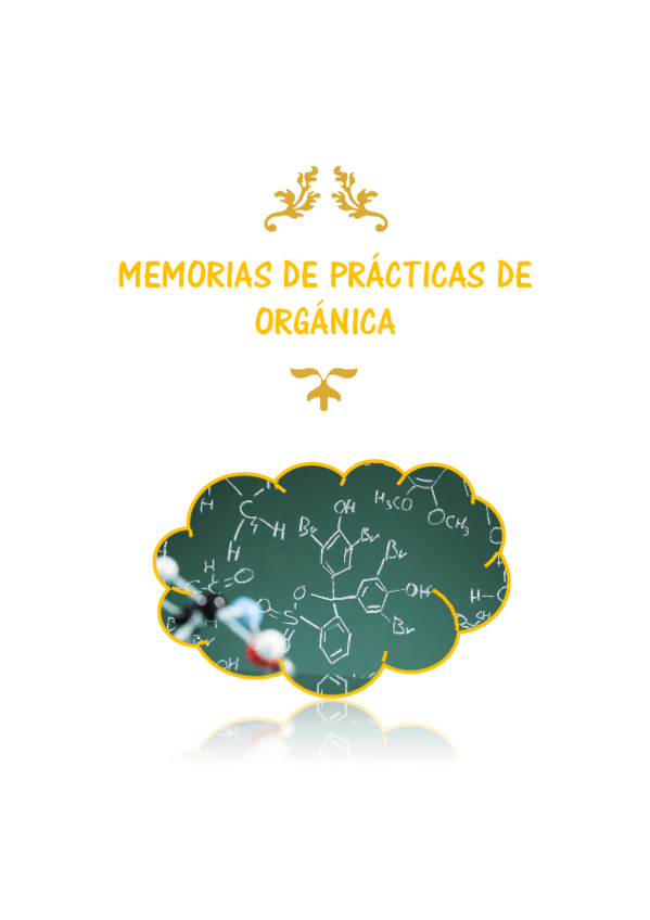 Miniatura del documento Memoria-de-practicas.pdf