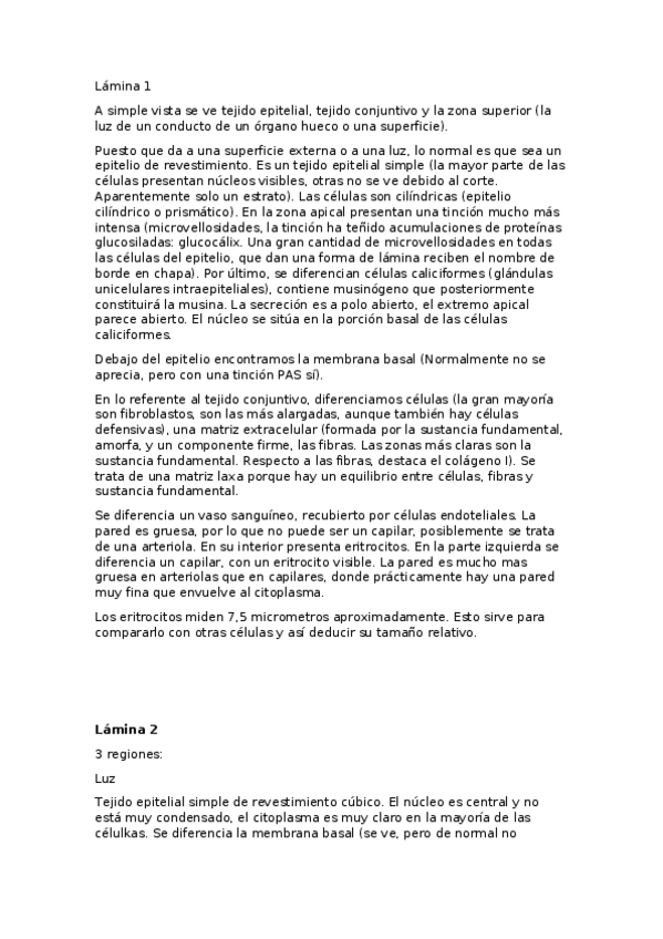 Miniatura del documento Laminas.docx