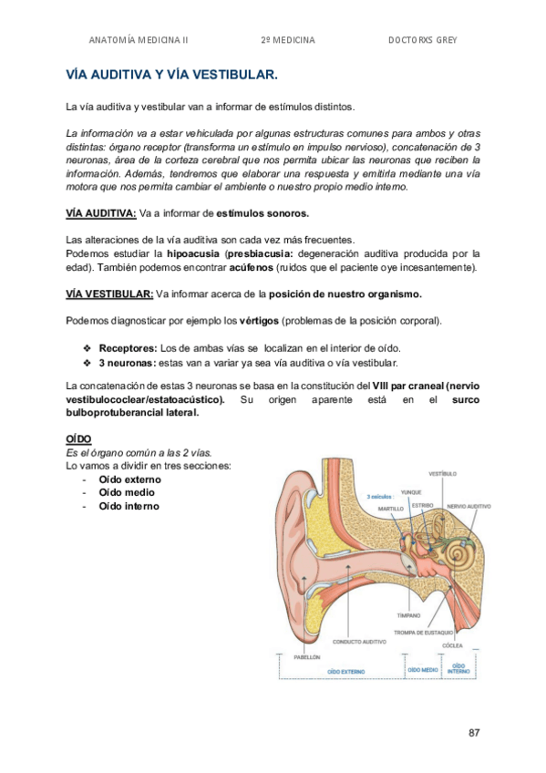 Miniatura del documento TEMA-3.pdf