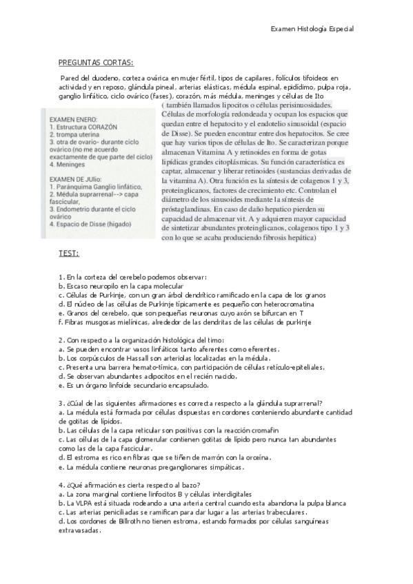 Miniatura del documento Examen-Histo-Especial.pdf