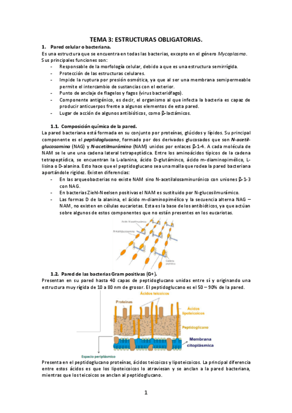 Miniatura del documento Tema-3-Estructuras-obligatorias.pdf