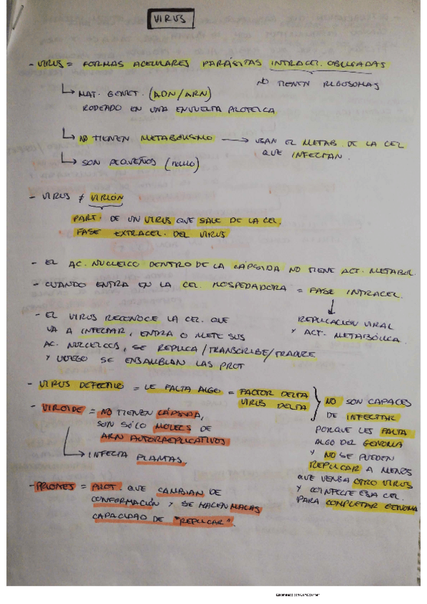 Miniatura del documento virus.pdf