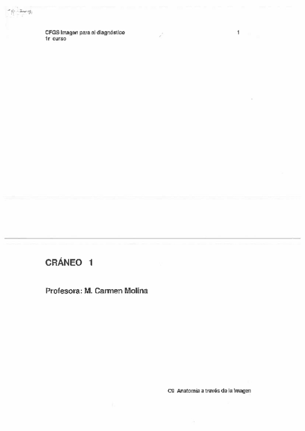 Miniatura del documento dosier-resueto-craneo.pdf