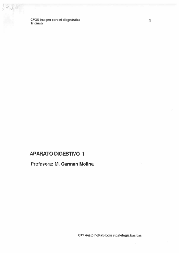 Miniatura del documento dosier-resuelto-aparato-digestivo.pdf