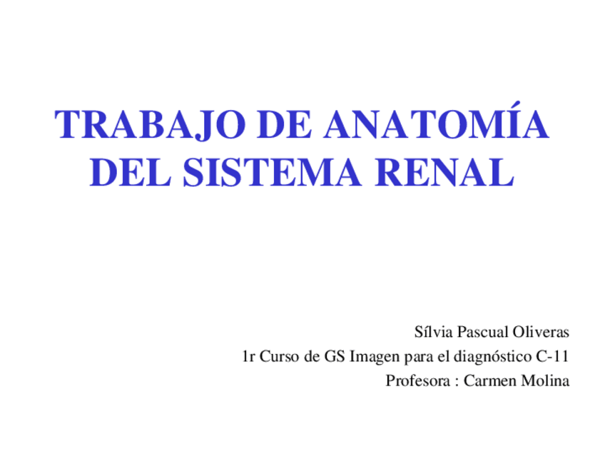 Miniatura del documento TRABAJO-DE-ANATOMIA-DEL-SISTEMA-RENAL-retocado.ppt