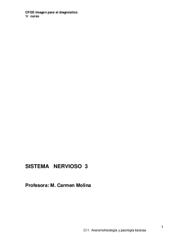 Miniatura del documento s.pdf