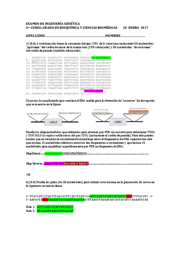 Miniatura del documento Oligos-examenes-aula-virtual.pdf