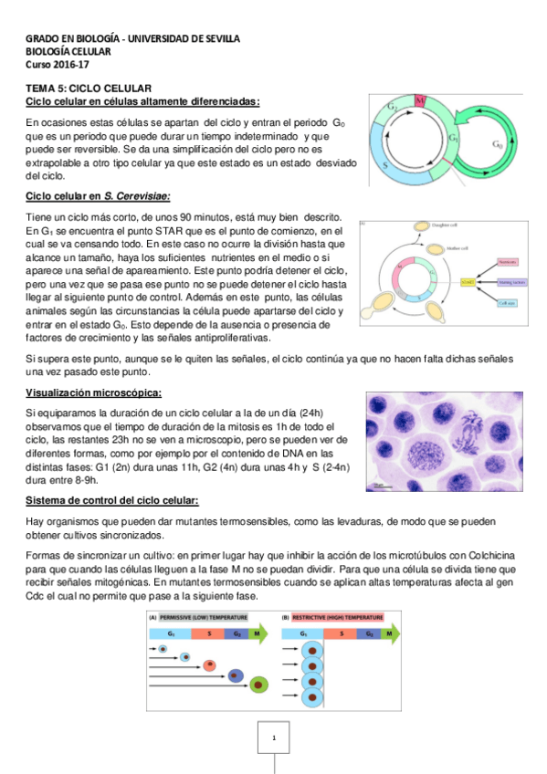 Miniatura del documento Tema 5 Biologia celular.pdf